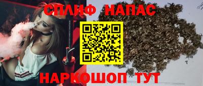 сатива Малгобек