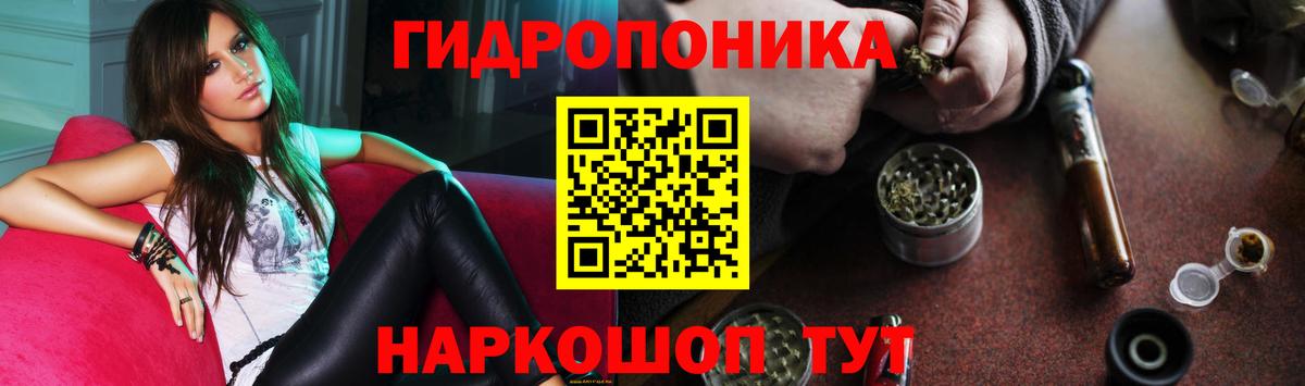 Бошки Шишки SATIVA & INDICA  Вход с VPN  Шишки марихуана планчик  Черняховск  Шишки марихуана White Widow 